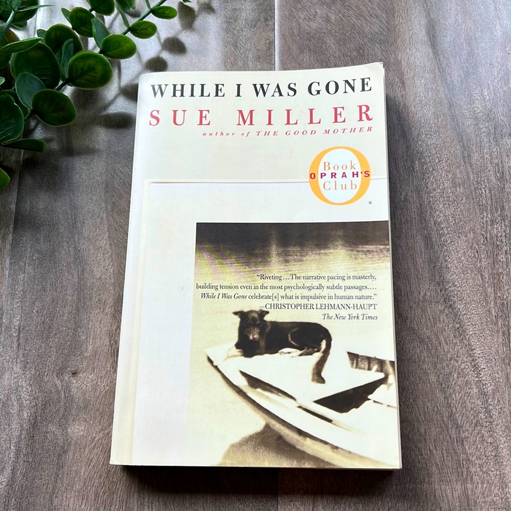 4/$20 NOVEL - While I Was Gone by Sue Miller